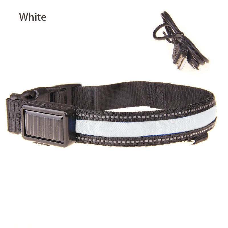 Solar Charging Led Dog Collar USB Rechargeable Night Safety Collar Perro Led Usb Adjustable Pet Led Dog Collar Light Usb Glowing