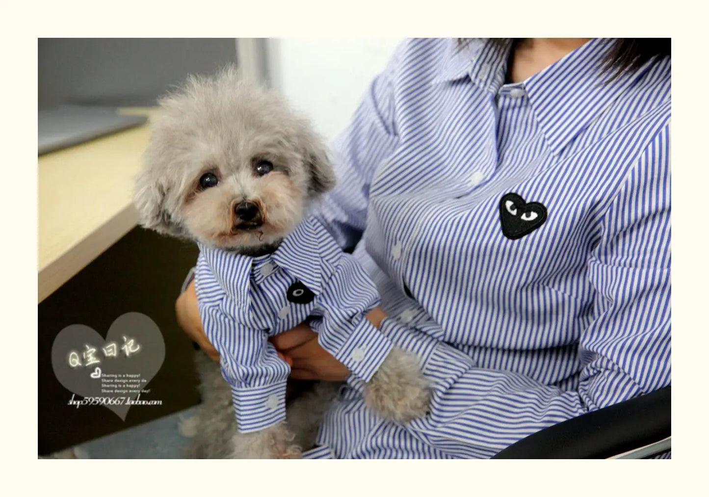 Pet and Owner Parent-child clothes Cat Bib bear Teddy Dog Shirts Thin Clothing for Spring and Autumn