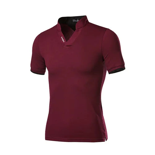 2024 New Fashion Men Cotton Polo Shirt, Leisure Stand Collar Long Sleeve Mens V Neck POLO Shirts, Asian Size Male T-shirt Top