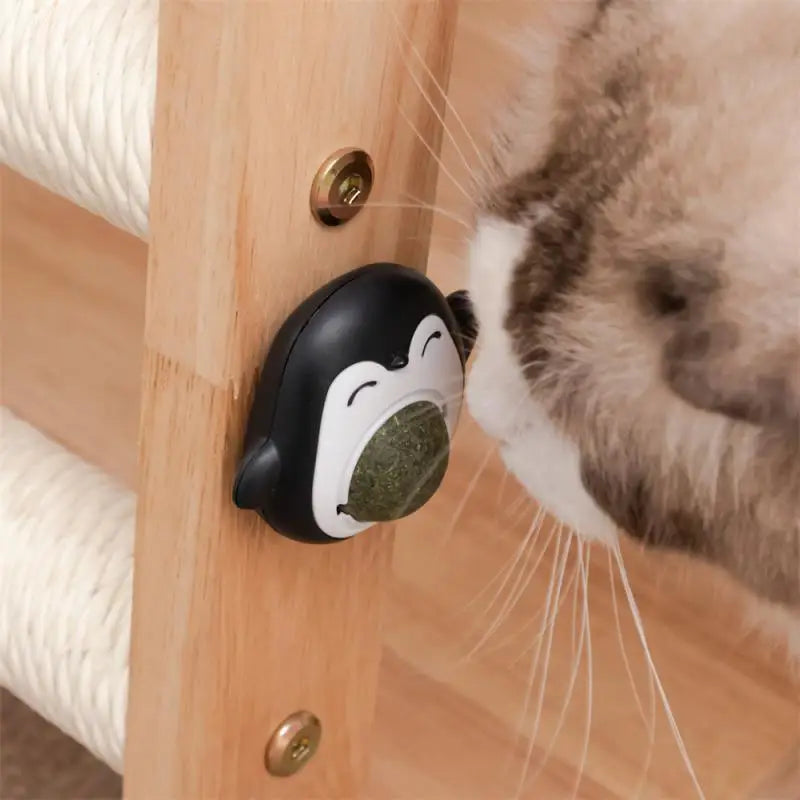 Catnip Balls Cat Mint Toy Grinding Teeth Mint Ball Edible Safety Healthy Snack Rotatable Wall Stick-on Toys for Pet Supplies