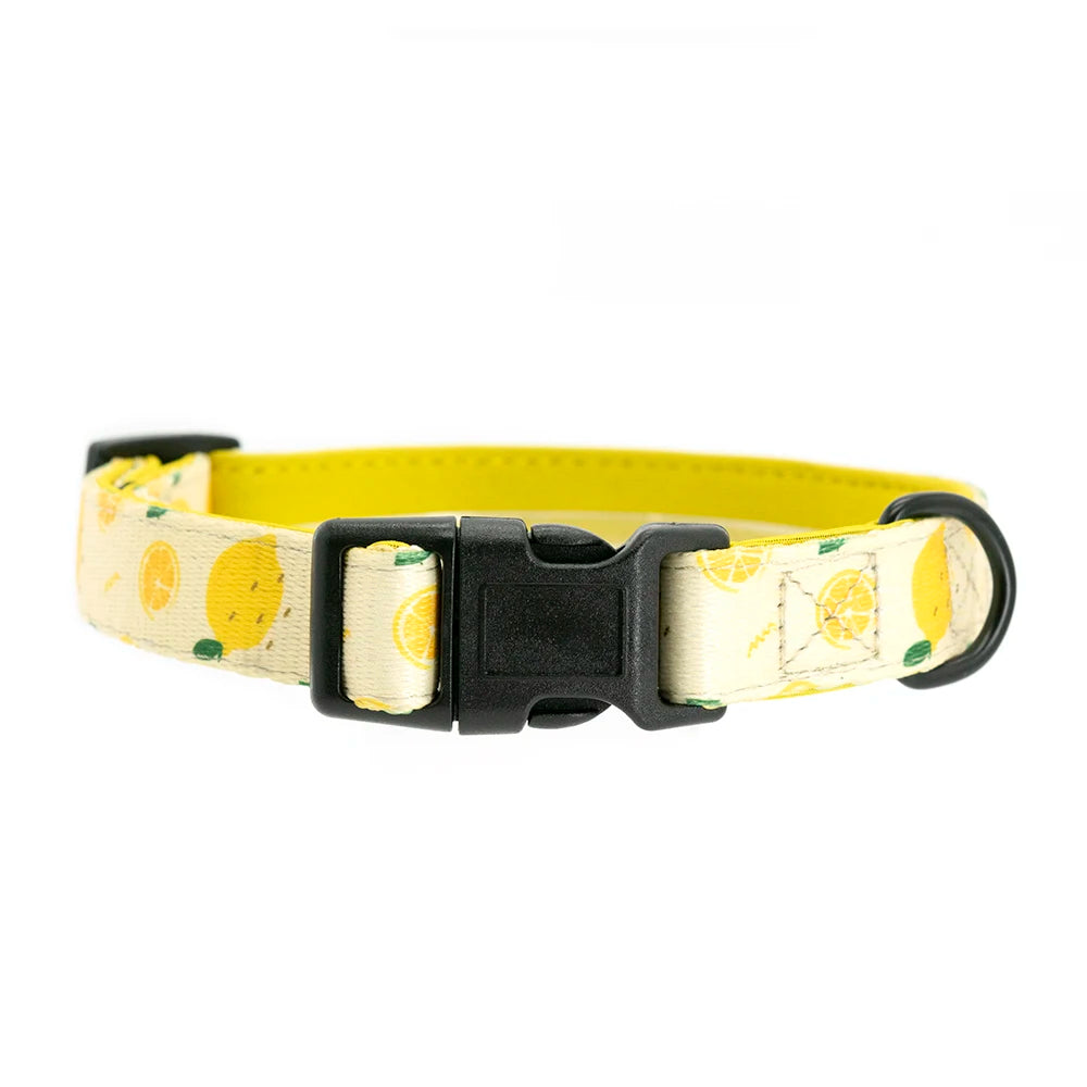 Collarlogo Adjustable Pet Dog Collar Durable Soft Cute Creative Lemon Design Leash Neoprene Harness Poop Poo Bag Dispenser
