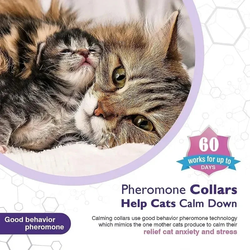 Kitten Calming Collar for Cats Dogs Calming Collar Anxiety Relief Lasts 60 Days Pheromone Collar for Cats Pet Calming Necklace