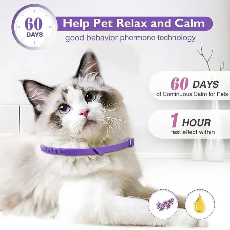 Kitten Calming Collar for Cats Dogs Calming Collar Anxiety Relief Lasts 60 Days Pheromone Collar for Cats Pet Calming Necklace