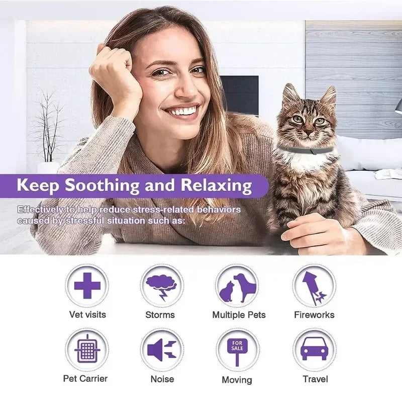 Kitten Calming Collar for Cats Dogs Calming Collar Anxiety Relief Lasts 60 Days Pheromone Collar for Cats Pet Calming Necklace