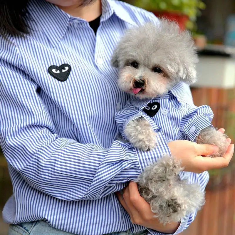 Pet and Owner Parent-child clothes Cat Bib bear Teddy Dog Shirts Thin Clothing for Spring and Autumn