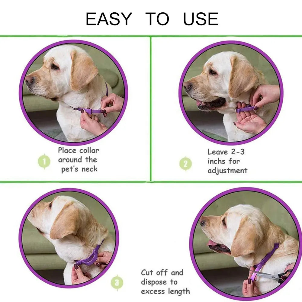 Pet Calm Collar Neck Strap Plastics Cat Dog Soothe Collar Adjustable Relieve Anxiety Remove Restlessness Protection Pet Supplies