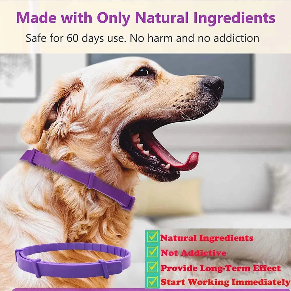 Pet Calm Collar Neck Strap Plastics Cat Dog Soothe Collar Adjustable Relieve Anxiety Remove Restlessness Protection Pet Supplies