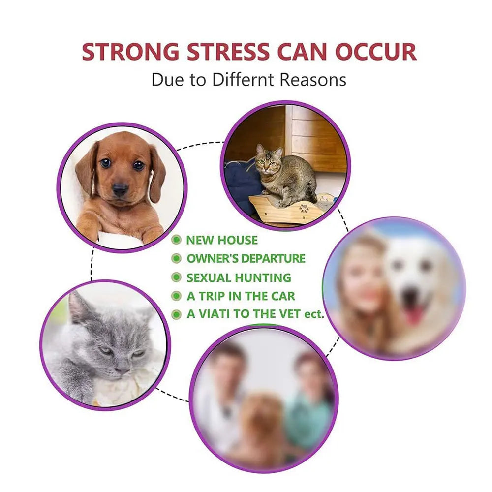 Pet Calm Collar Neck Strap Plastics Cat Dog Soothe Collar Adjustable Relieve Anxiety Remove Restlessness Protection Pet Supplies