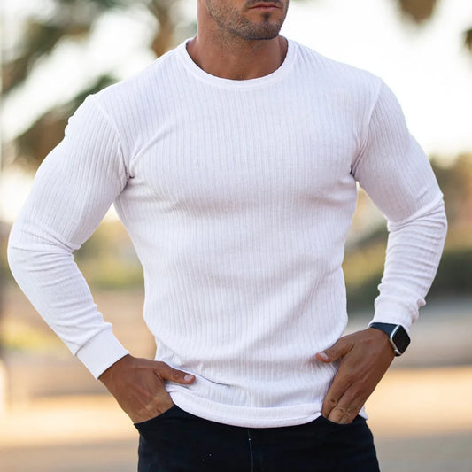 Spring Autumn Fashion Turtleneck Mens Thin Sweaters Casual Roll Neck Solid Pit Strip Slim Fit Sweaters Men Turtleneck Pullover