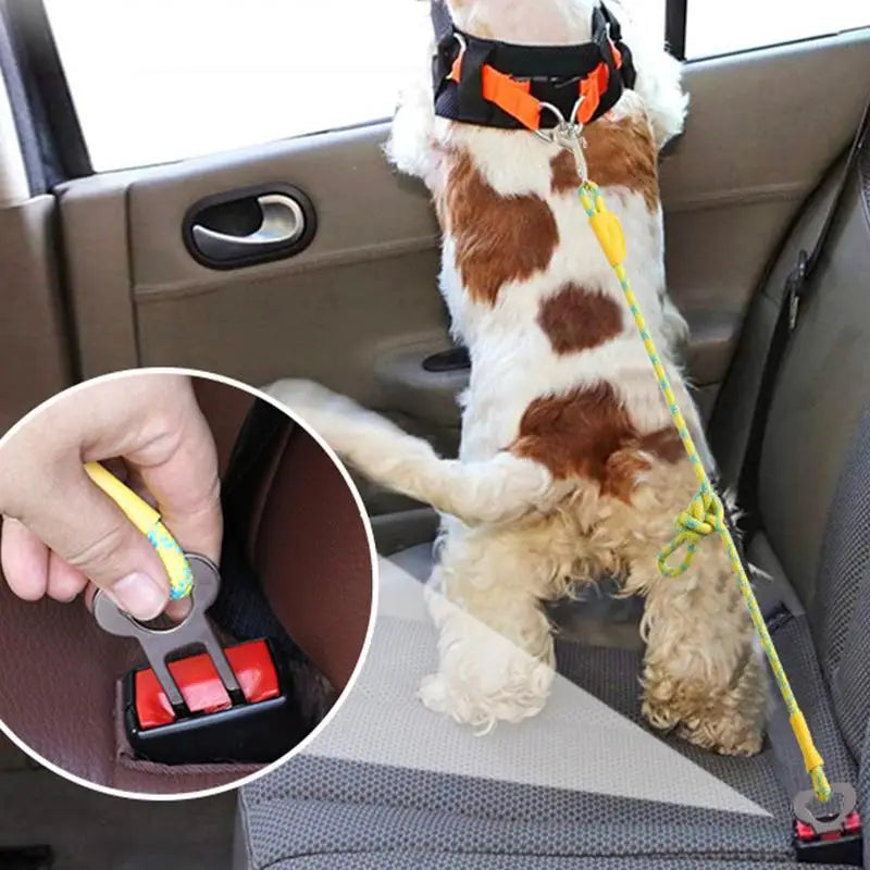 Dog Seat Belt For Car Removable Pet Dog Car Seatbelt Harness Restraint Secures To Vehicle Headrest Dog Supplies Seatbelt