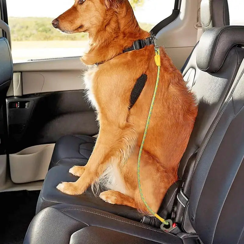 Dog Seat Belt For Car Removable Pet Dog Car Seatbelt Harness Restraint Secures To Vehicle Headrest Dog Supplies Seatbelt